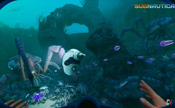 Subnautica 2 Tadpole Guide: Alle Fragmente, Bauplan & Tiefenmodul finden